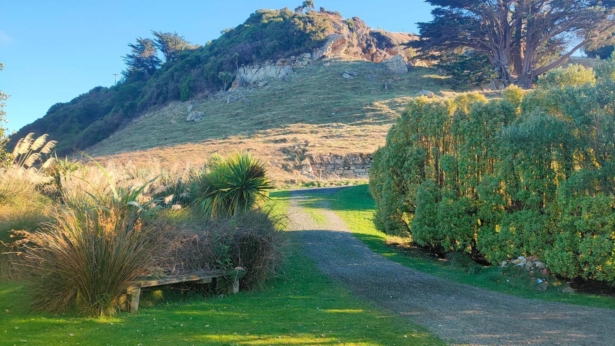 דירות Sandymount Pukemara Retreat מראה חיצוני תמונה